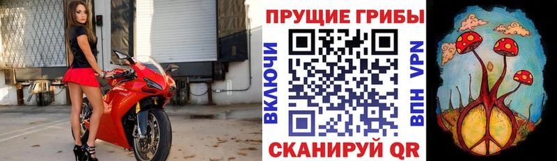 купить наркоту Смоленск Галлюциногенные грибы прущие грибы